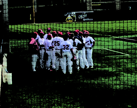LHS baseball comes to an end