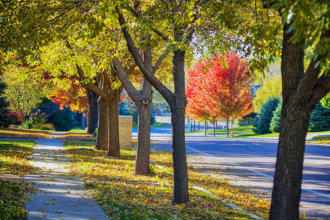 Fall in love with Fall