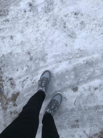 First snow: An existential crisis story