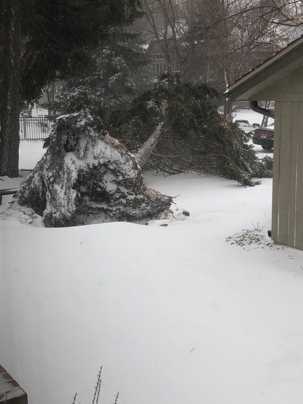 The heavy snow fall in Sioux Falls and around the state brought on costly damage.