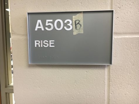 Learning to “RISE” above stereotypes