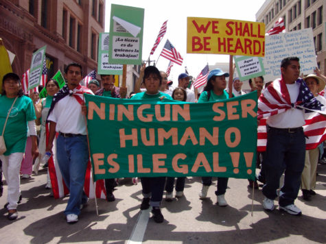 Dear Migra