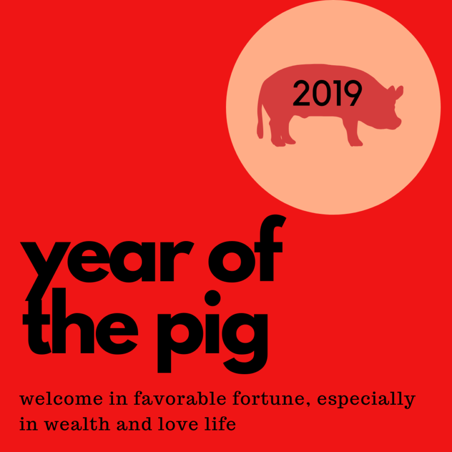 2019 is the Year of the Pig