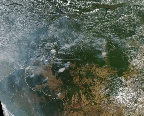 An update on the Amazon