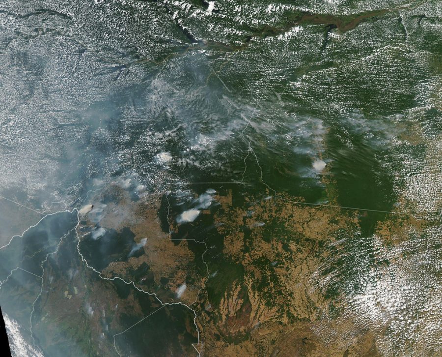 The Amazon rainforest fires are so harsh that they can be see from Space by NASA. 