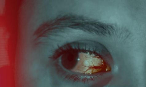 Russian sleep experiment