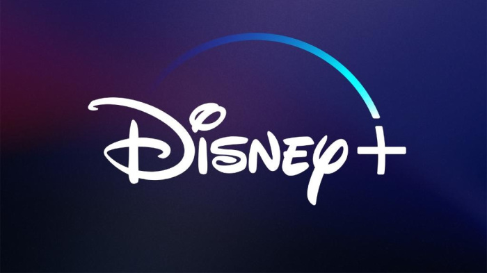 Disney+ has recently launched, showcasing all of Disneys old movies and shows, as well as new content available only for subscribers.