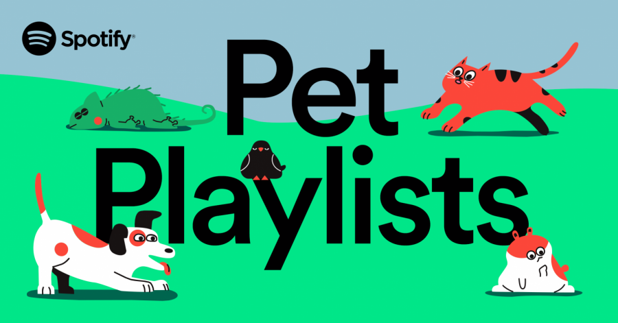 The popular streaming company conducted a global online survey which found that 71% of pet owners globally play music for their pets, and even more believe their pets actually like to listen to music. 