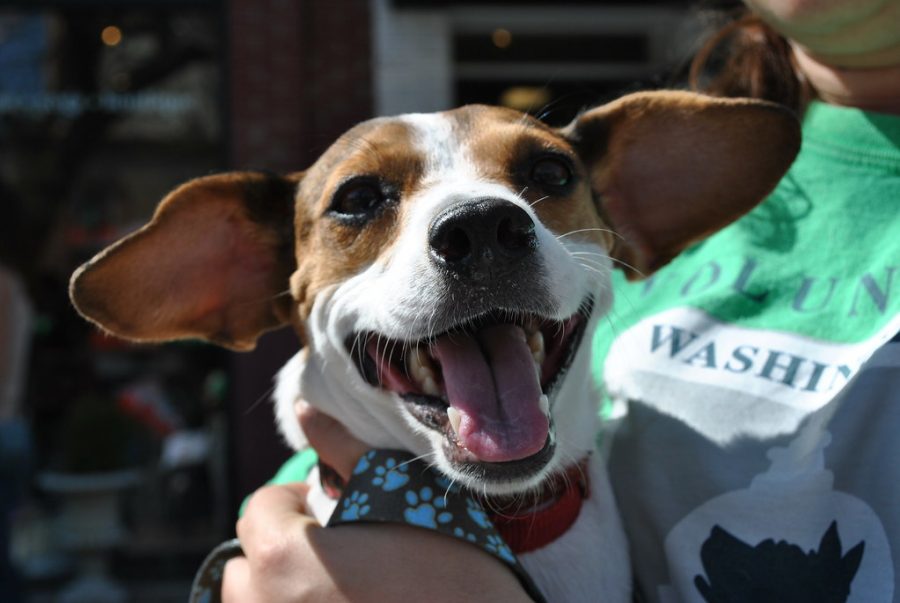 The Sioux Falls Humane Society is located on Benson road and is open from 11 a.m. to 6 p.m. Monday through Sunday. 