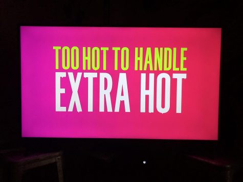 This show is just another cheesy, irresistible reality TV show that Netflix watchers needed desperately for our quarantine time.
