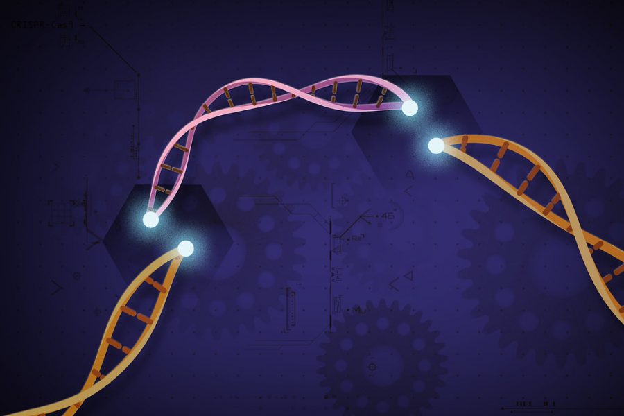 CRISPR allows genomes to be cut and modified. Many scientists for years have researched and discovered its capabilities. 