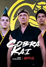 Pictured here is the Netflix series cover for the recently added Cobra Kai