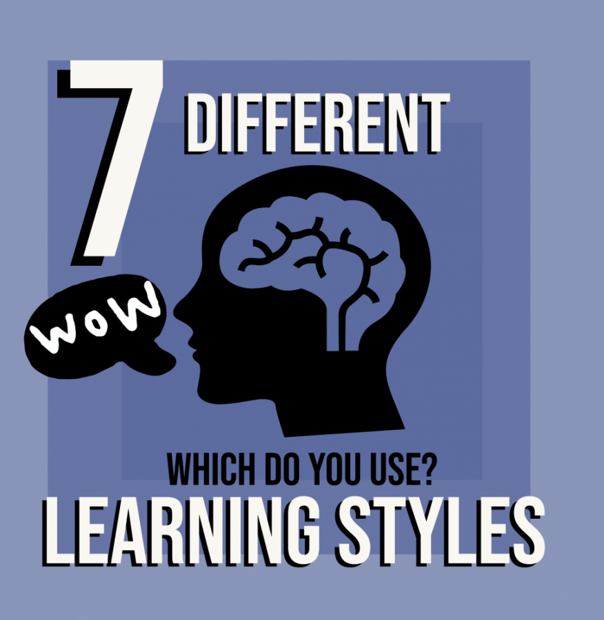 7 different learning styles