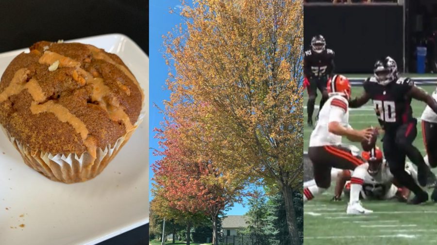 Delicious desserts, the weather and football games are only a few things to like about fall.