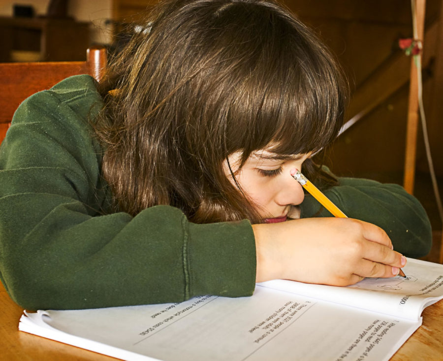 Many students spend far too much time completing homework, eliminating free time. 