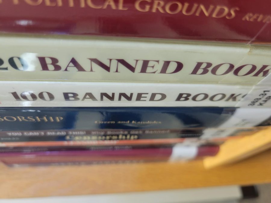 Book banning efforts have been spreading across the nation in recent months.