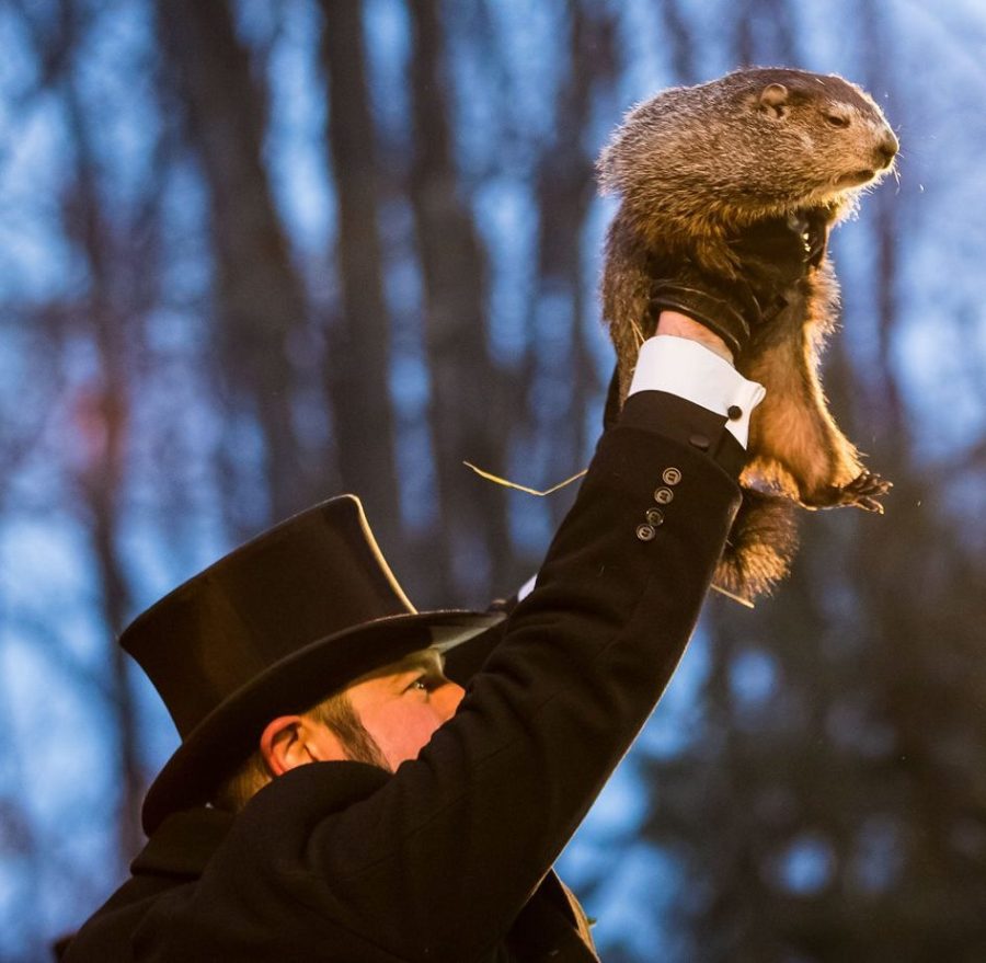 Punxsutawney Phil and Milltown Mel both predicted what the near future would hold on Feb. 2. 