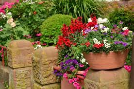 The key items to planting flowers are soil, water, sunlight and flower seeds.