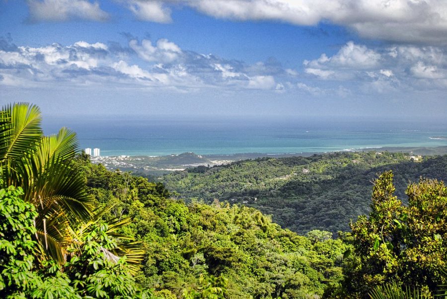 Puerto Rico is known for its ecotourism which includes coastal valleys, the Islands karst system, wetlands, according to Discover Puerto Rico. 