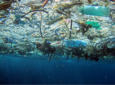 According to Condor Ferries, there are an estimated 5.25 trillion pieces of plastic waste 
in our oceans.