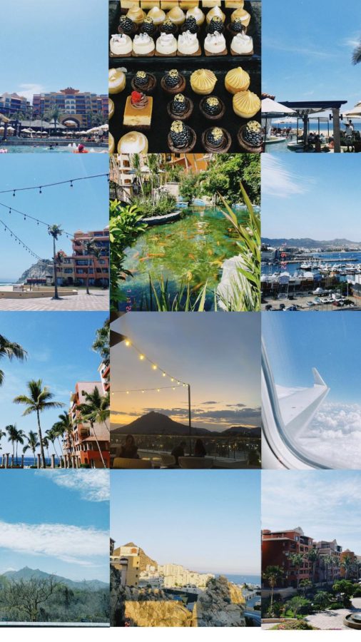 A collage of all of the gorgeous locations we visited in Cabo San Lucas, Mexico.