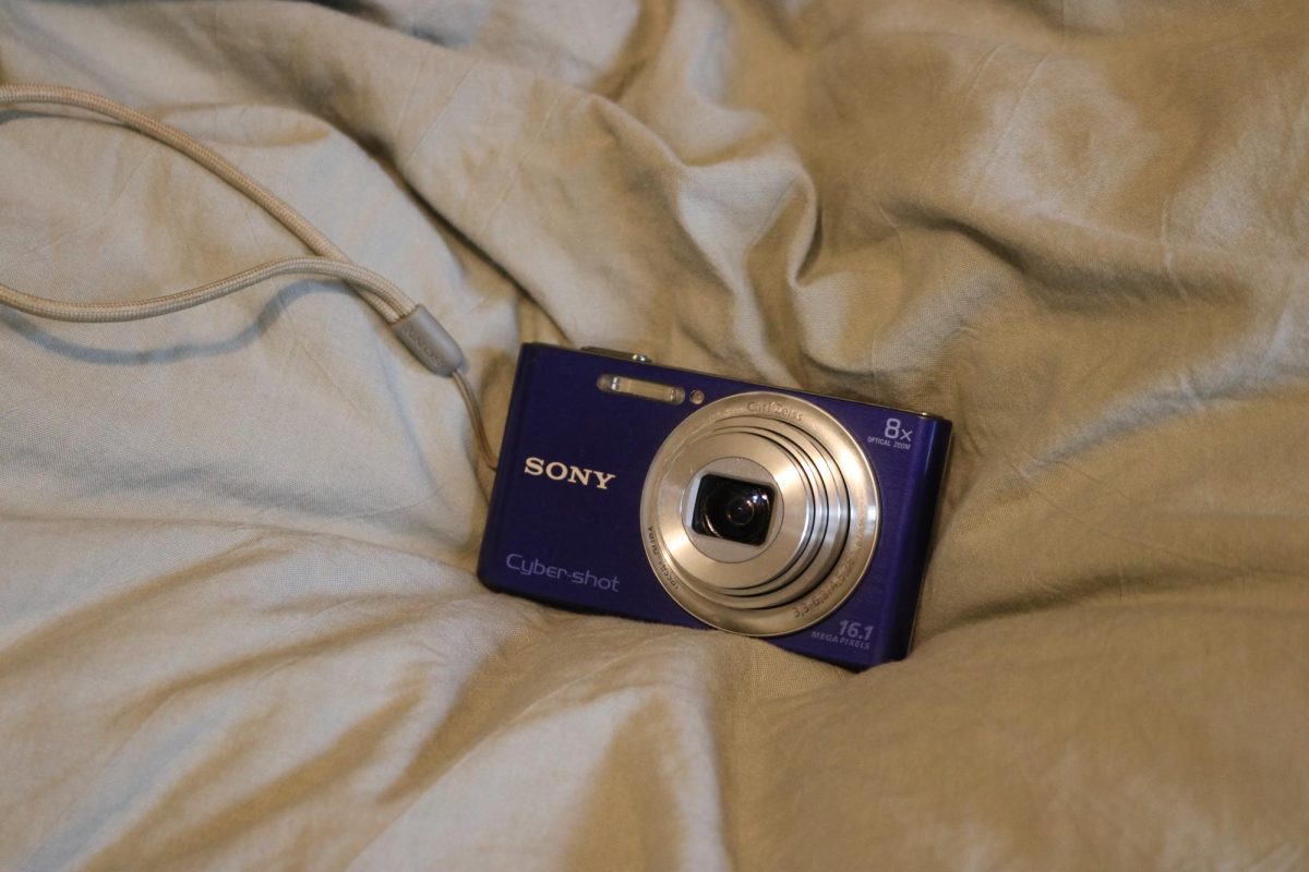 My Sony Cybershot has gotten a lot of use this fall.	
