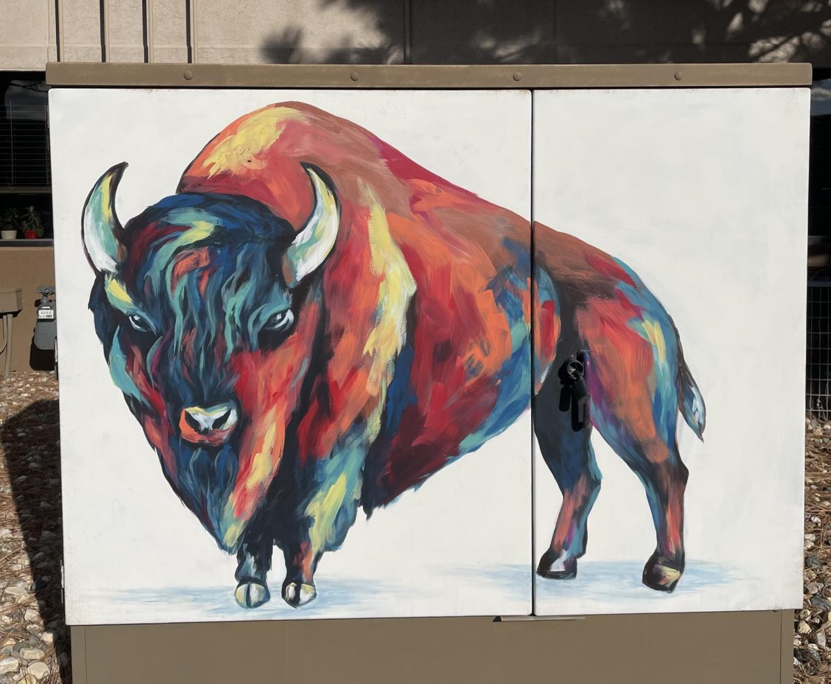 This colorful buffalo is located on an electrical box at 4610 S Technopolis Dr.