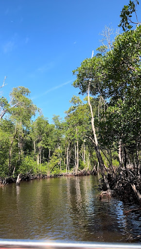 Wildlife and abundant plants make Florida’s national park, the Everglades, an essential place to visit while touring Florida. 