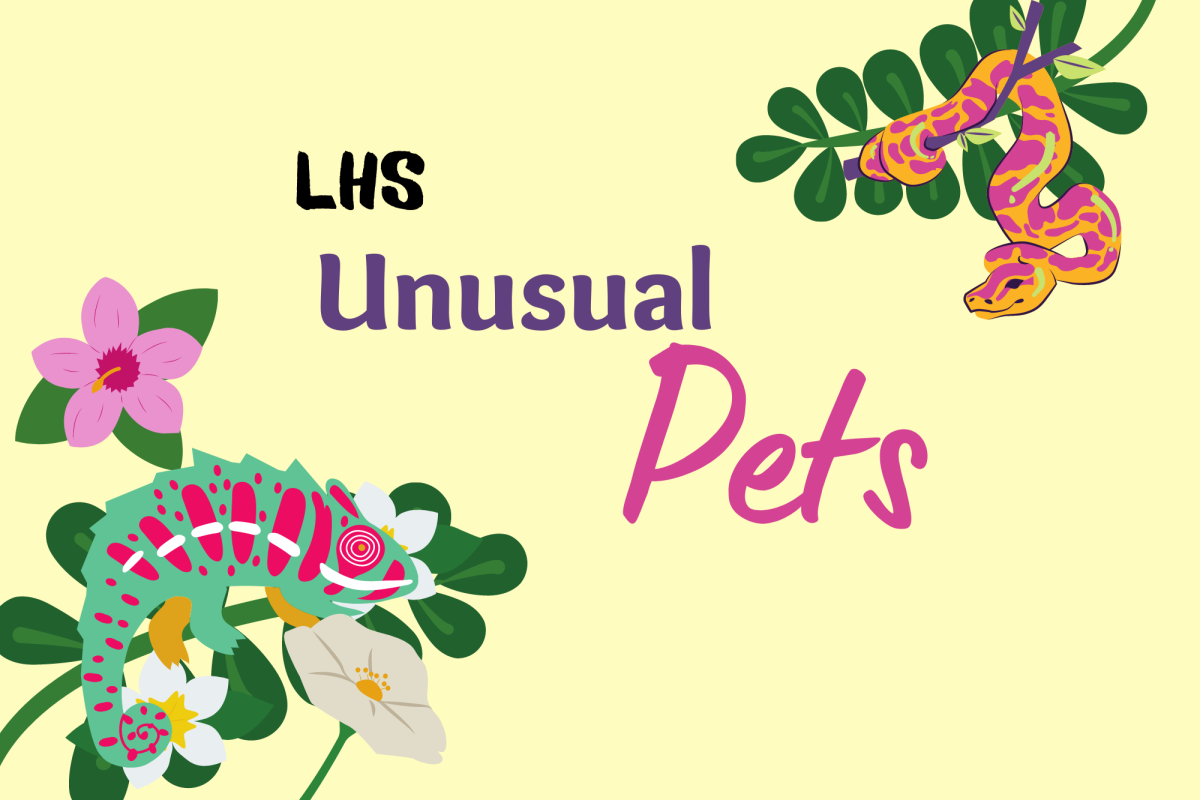 Dogs and cats are the most common pets, although some LHS students have gone beyond the norm with unusual pets they take care of on a daily basis. (Artwork by Canva)