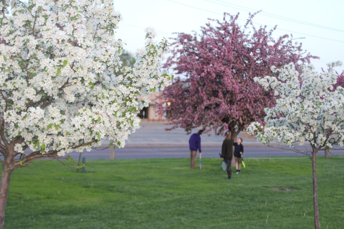 A family returning from a game of tennis stops to admire the blossoming trees on their way home. 
