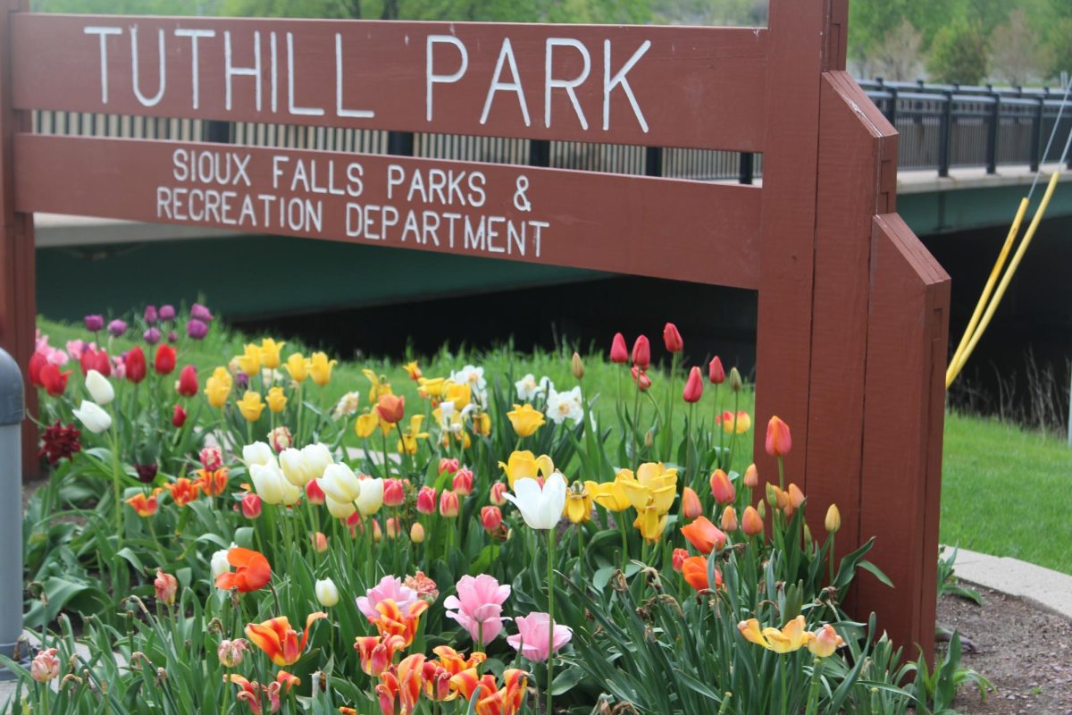 The entrance to Tuthill Park displays a variety of planted flowers, specifically tulips, to welcome visitors.
