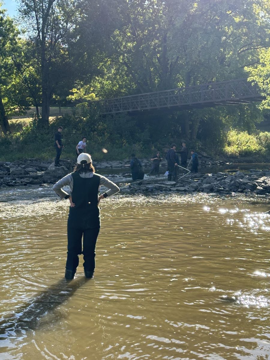 Teacher, Grace Werner watches over AP Environmental Science students as they search the river for macroinvertebrates.