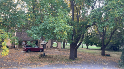 In this photo, it shows the main circular driveway and the thick forested area that engulfs this house.