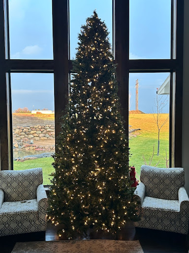 My family Christmas tree standing tall in front of the living room windows. 