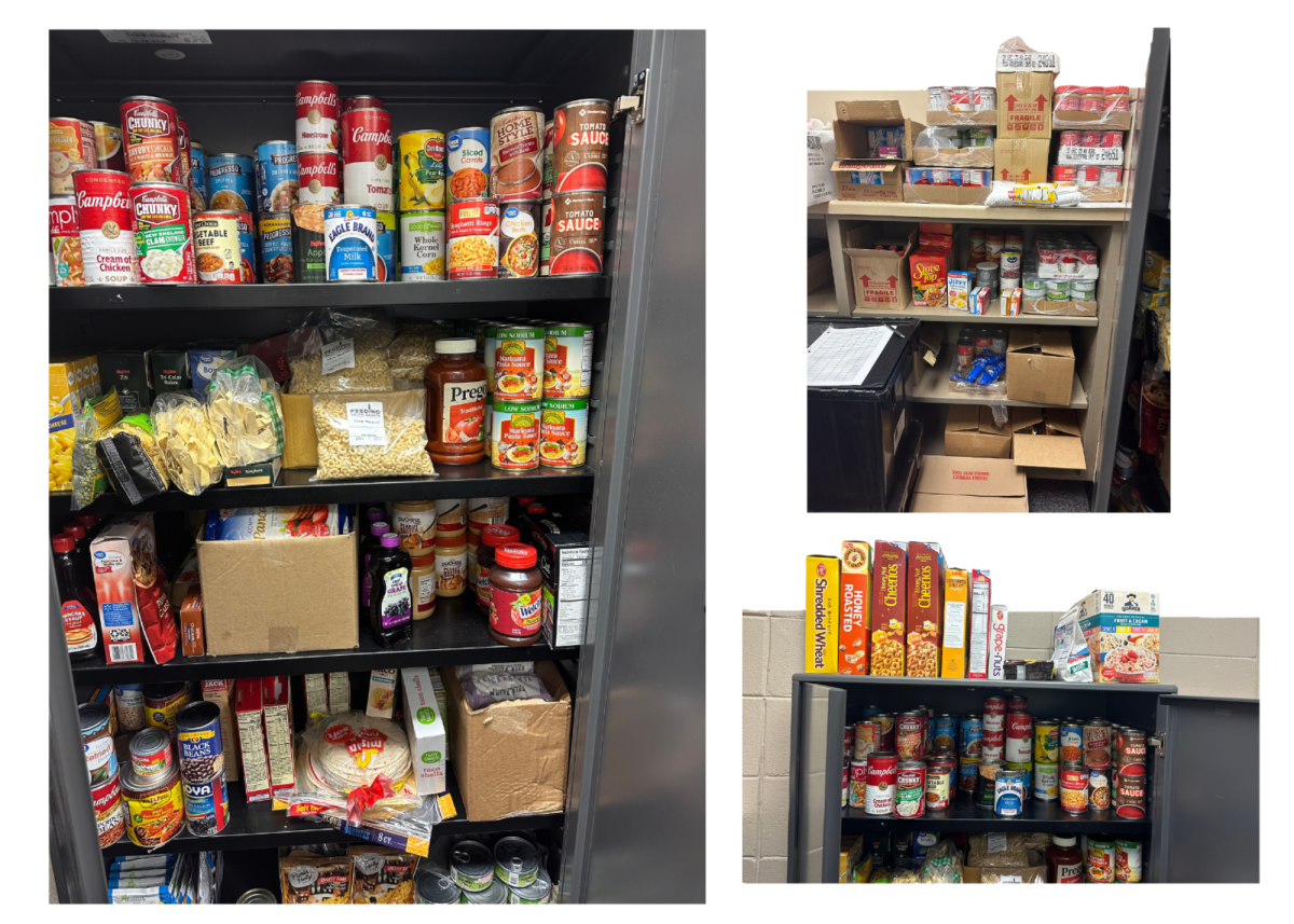  In addition to the backpack program, LHS has installed a food pantry for the third year in room E108A.