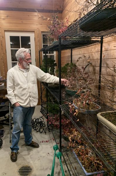 Deciduous trees shed their leaves seasonally, leaving them bare during the winter months.