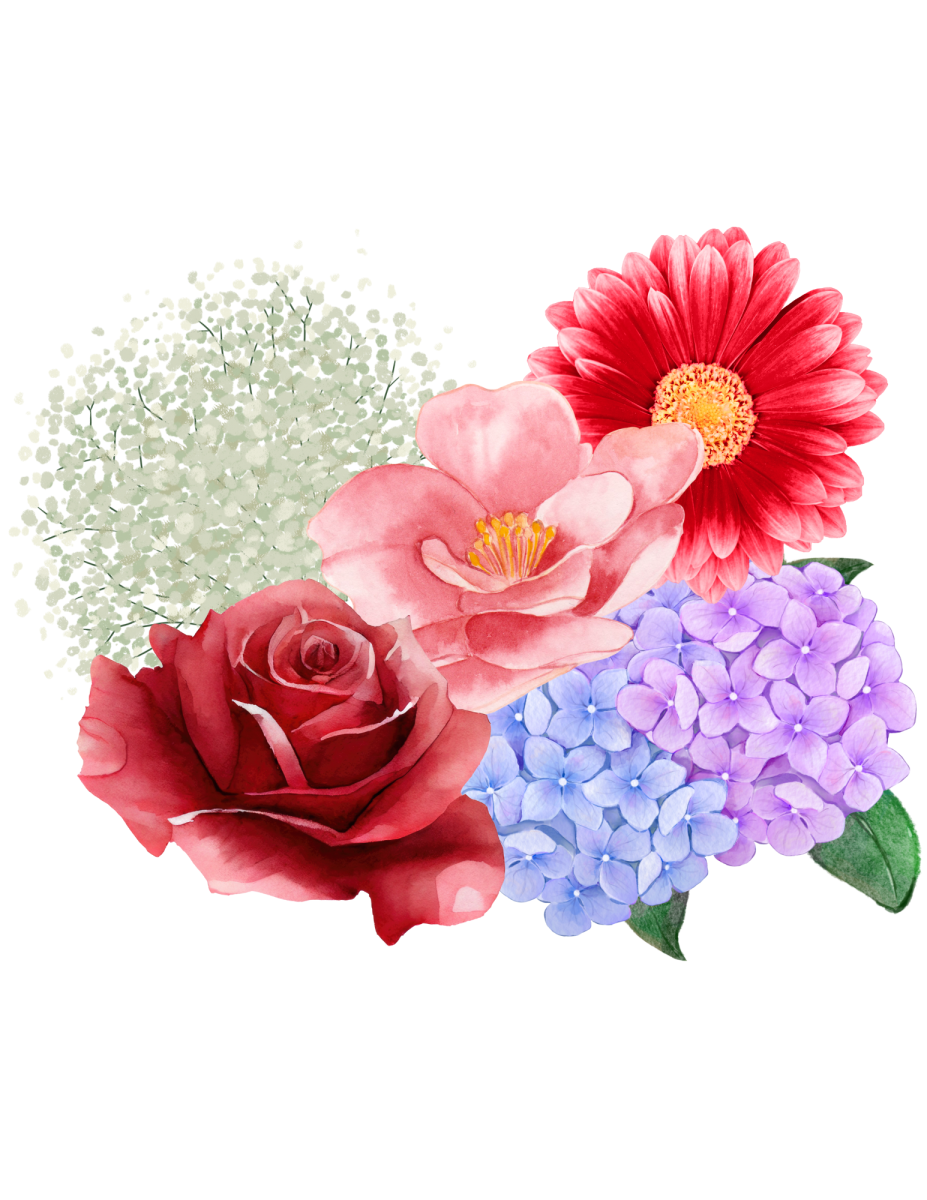 Clockwise from top left: baby's breath, camellia, gerbera daisy, hydrangea and rose. (Artwork used with permission by Canva)
