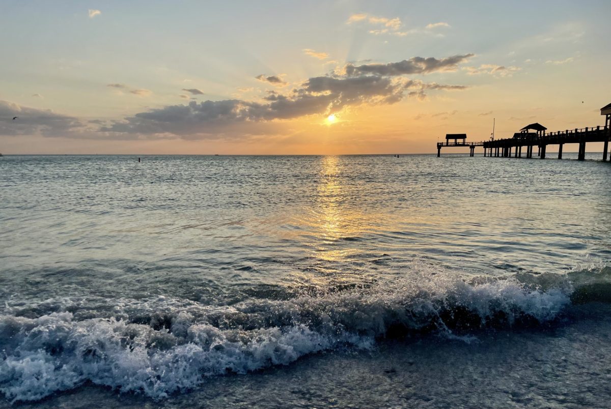 At Pier 60 in Clearwater Beach, tourists gather to watch the beautiful sunset on the Gulf of America waters. The sight of the golden sun setting on the teal water makes this an unforgettable experience.
