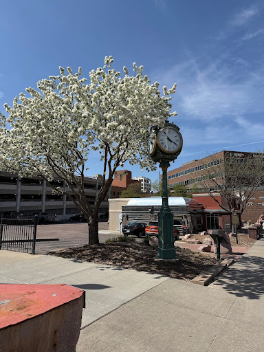 spring 1