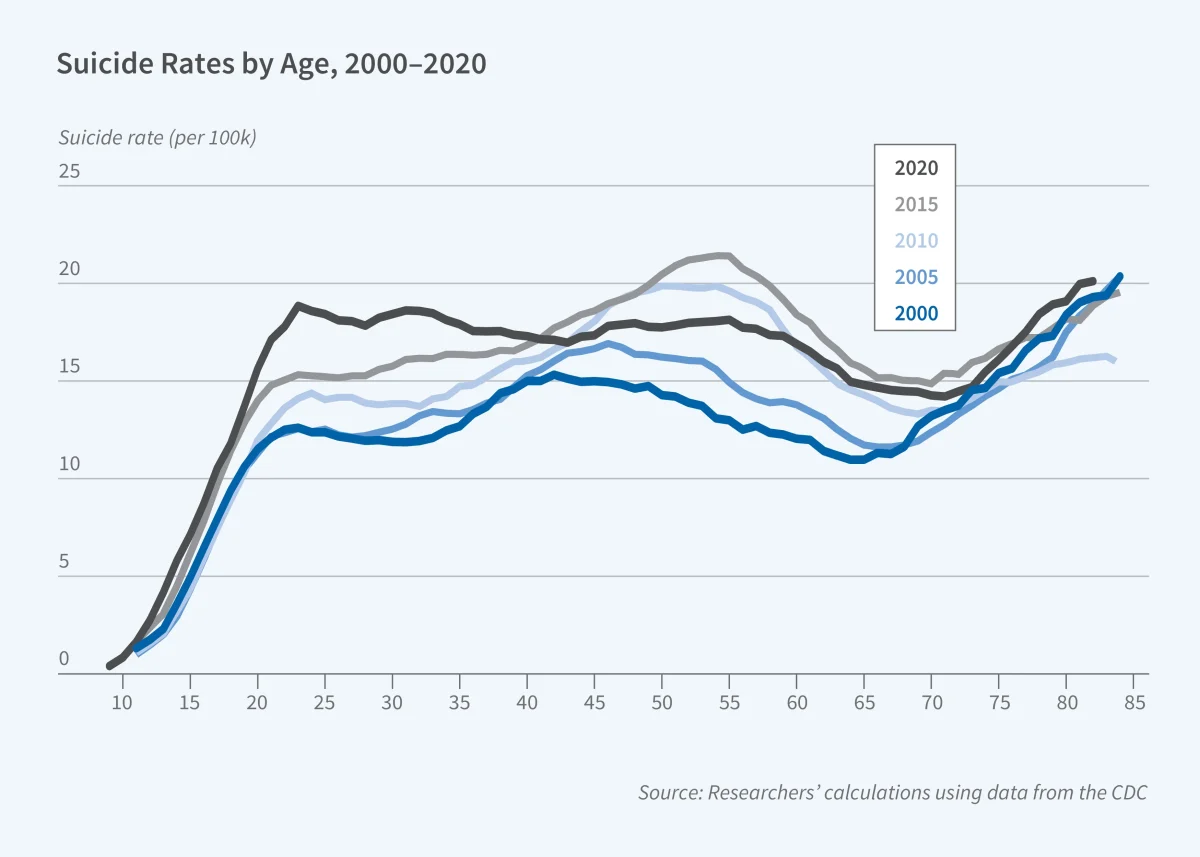 A graph of suicide rates by age from 2000-2020. Used with permission by the National Bureau of Economic Research