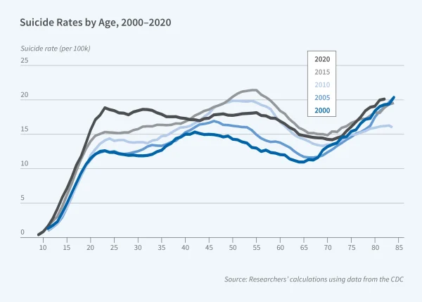 A graph of suicide rates by age from 2000-2020. 
( Photo used with permission by the National Bureau of Economic Research).