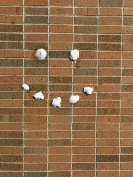 Snow still lingers around LHS, allowing students to throw snowballs and enjoy the sight of snow dust on buildings and trees.