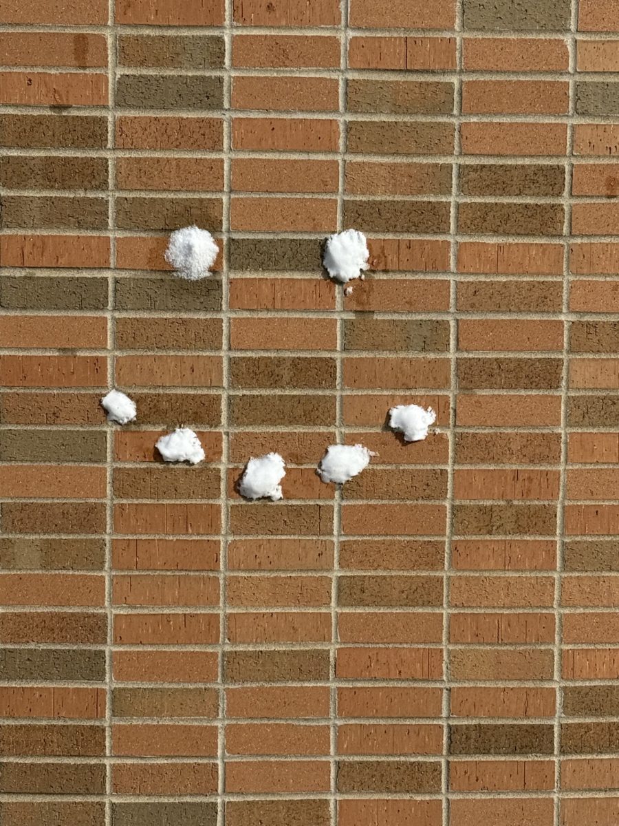 Snow still lingers around LHS, allowing students to throw snowballs and enjoy the sight of snow dust on buildings and trees.
