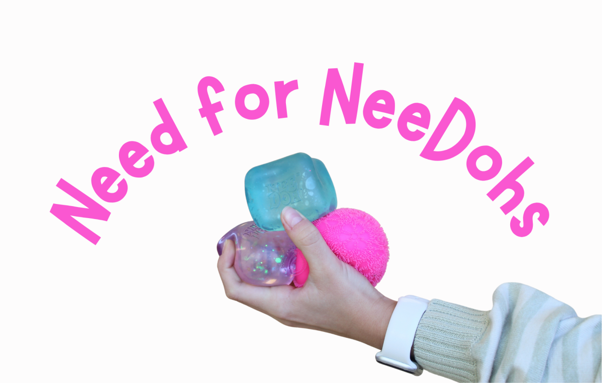 NeeDohs can be bought at many different stores around town, including Target, Aldi, Scheels and a local store such as Child’s Play Toys.
