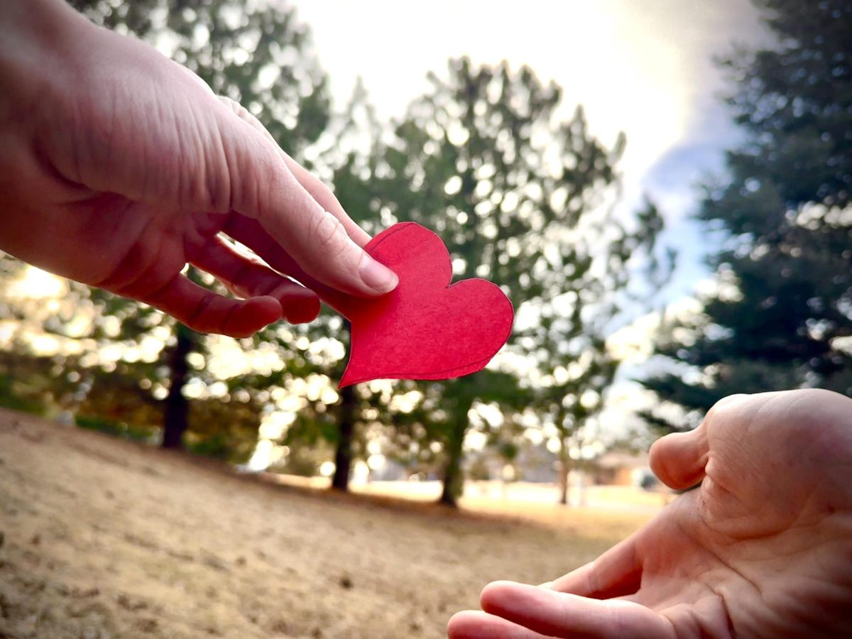 Compassion forms within real relationships, not online. We must shift to a community based mindset. 
