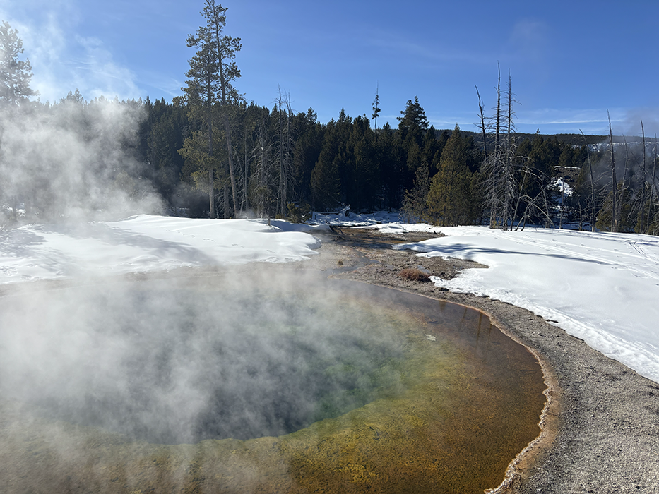 Over 10,000 hot springs are sprinkled around Yellowstone, with temperatures exceeding 200°F. Visitors are prohibited from entering the hot springs, as it is unsafe and illegal. 