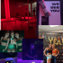 Added a photo gallery using all my own pictures and layout on canva